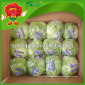 Inflatable Chinese pickled romaine iceberg lettuce